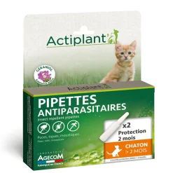 ACTIPLANT - Pipette antiparasitaire chaton eco spot n°0 essentiel 2x0,6ml