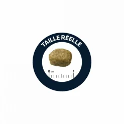 ADVANCE - Croquettes chat adult sterilized hairball - advance 1,5 kg