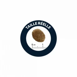 ADVANCE - Croquettes chat veterinary diet urinary - advance 1,5kg