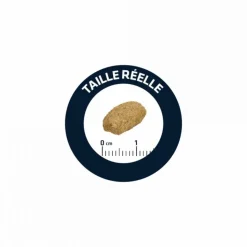 ADVANCE - Croquettes chat adult sterilized dinde - advance 10 kg