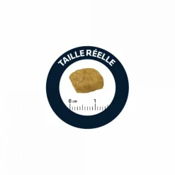 ADVANCE - Croquettes chat veterinary diet renal failure - advance 8 kg