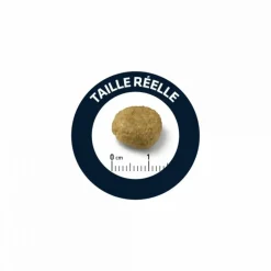 ADVANCE - Croquettes chien veterinary diets atopic medium / maxi - advance 12 kg