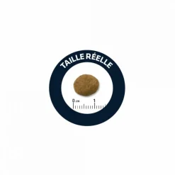 ADVANCE - Croquettes chien maxi puppy - advance 12 kg