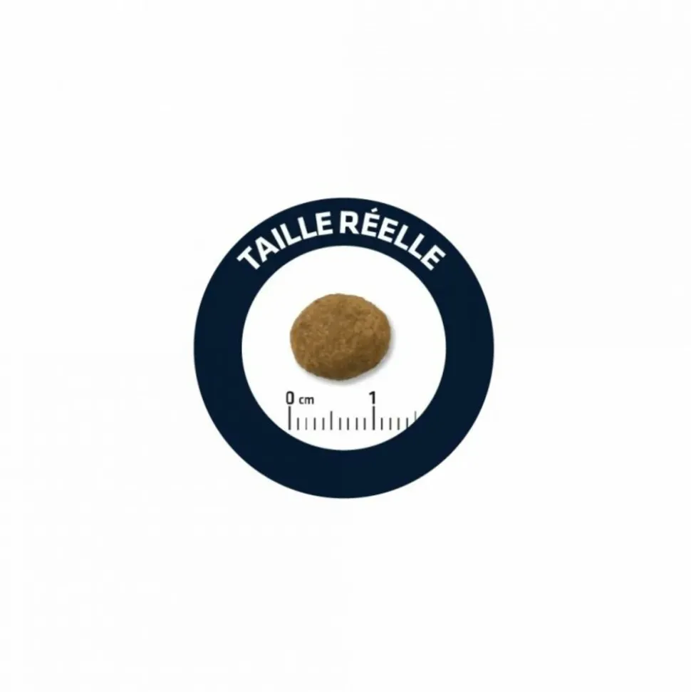 ADVANCE - Croquettes chien maxi puppy - advance 3 kg