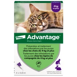 ADVANTIX - Antiparasitaire pour chat/lapin de plus de 4 kilos : 4 pipettes