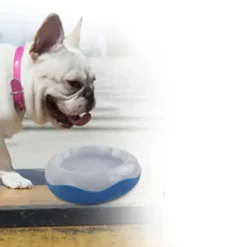 AFP - Bol réfrigérant pour chien chill out