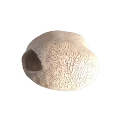 ANIMALLPARADISE - Décoration en forme de galet 11 cm