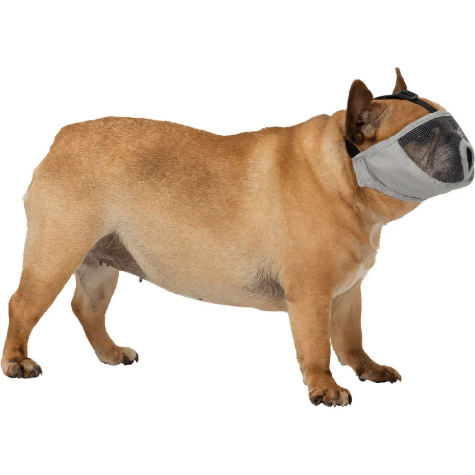 ANIMALLPARADISE - Muselière taille s-m pour les races de chien à nez court