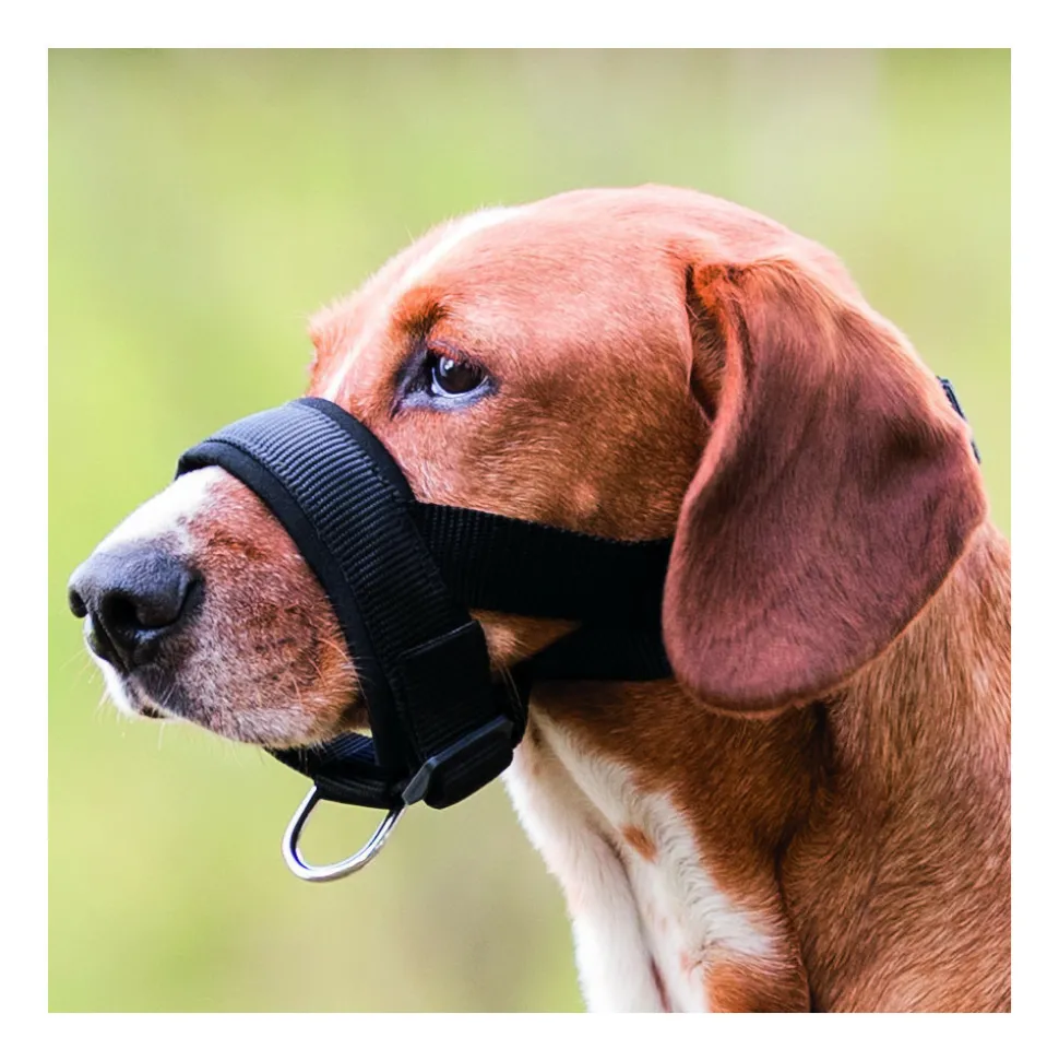 ANIMALLPARADISE - Muselière sangle taille m-l pour chien beagle, dalmatien