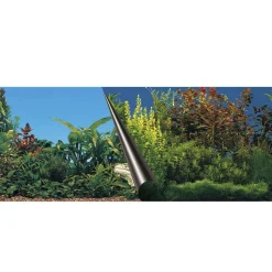 AQUA DELLA - Poster fond d'aquarium Beauty & Sea 120x50cm