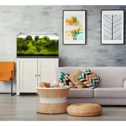 AQUAEL - Aquarium cuve nue en verre "Extra Clear" : 100 x 40 x 40 cm- 160L