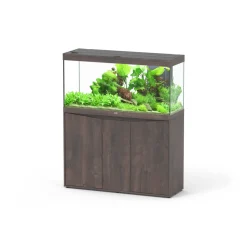 AQUATLANTIS - Aquarium avec meuble LED Splendid 120 chêne brun – 120x40x61 cm 294 L