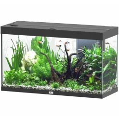 AQUATLANTIS - Aquarium équipé Splendid Led 2.0 Noir L.100xP.40xH.61cm