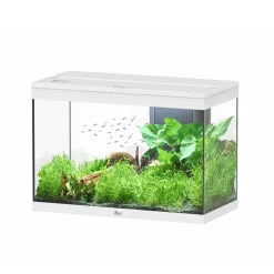 AQUATLANTIS - Aquarium équipé Splendid Led 2.0 Blanc L.80xP.40xH.56cm