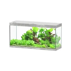 AQUATLANTIS - Aquarium équipé Splendid Led 2.0 Béton L.120xP.40xH.61cm
