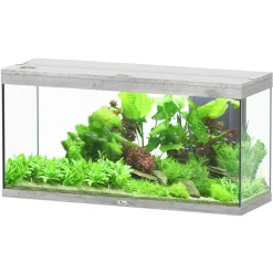 AQUATLANTIS - Aquarium équipé Splendid Led 2.0 Chêne Blanc L.120xP.40xH.61cm