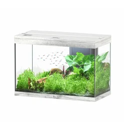 AQUATLANTIS - Aquarium équipé Splendid Led 2.0 Chêne Blanc L.80xP.40xH.56cm - 179L