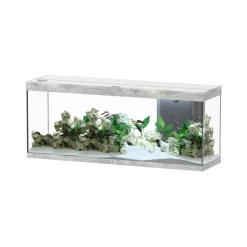 AQUATLANTIS - Aquarium équipé Splendid Led 2.0 Béton L.150xP.40xH.61cm