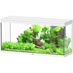 AQUATLANTIS - Aquarium équipé Splendid Led 2.0 Blanc L.120xP.40xH.61cm