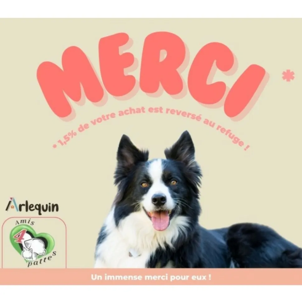 ARLEQUIN ESSENTIELLE - Croquette chien arlequin essentielle poulet 15 kg