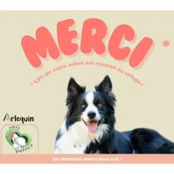 ARLEQUIN IRRESISTIBLE - Arlequin irrésistible petite race saumon d'ecosse sans céréales 2 kg