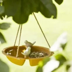 Baignoire mangeoire bambou pour oiseaux