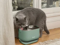 BANDIT - Fontaine à eau sans fil verte pour chat