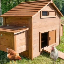 BB LOISIR - Poulailler en bois pour jardin extérieure cage canard équipé 2 nichoirs 185 x 84 x 112 cm modèle 154 ferme de terrain