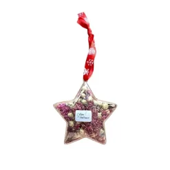 Boule étoile à suspendre