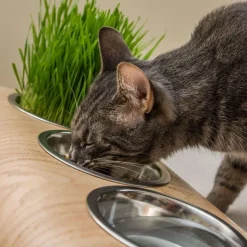 Buvo - set ergonomique 3 gamelles en acier, socle bois chêne, 43x24x14cm