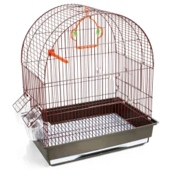 Cage Jojo en métal et plastique : Longueur 43 cm