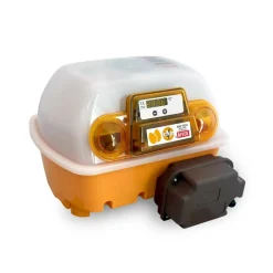 CHICK'A - Couveuse automatique 12 œufs