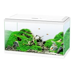 CIANO - Aquarium Ciano - 58 Litres