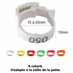 COT COT HOUSE - Bague marquage des poules à clips réglable 20-15mm, 6 pièces