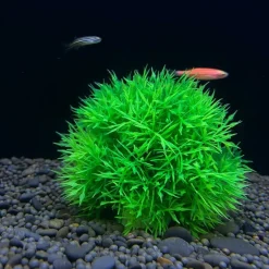 DOWNYPAWS - 2 boules d'herbe artificielles en plastique pour aquarium, ornements d'aménagement paysager