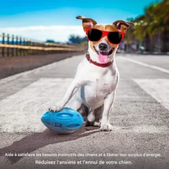 DOWNYPAWS - Balle jouet pour chien-jouet pour chien balle en caoutchouc-jouets interactifs-football bleu