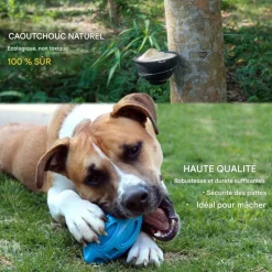 DOWNYPAWS - Balle jouet pour chien-jouet pour chien balle en caoutchouc-jouets interactifs-football bleu