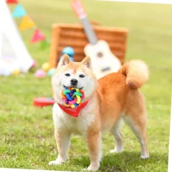 DOWNYPAWS - Balle jouet pour chat-avec cloche-lot de trois boules cloches arc-en-ciel de 6 cm