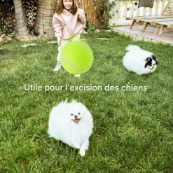 DOWNYPAWS - Balle jouet pour chien tennis(12 pièces), en caoutchouc et feutre de haute qualité, compatible lanceur 6 cm