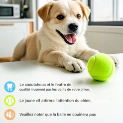 DOWNYPAWS - Balle jouet pour chien tennis(12 pièces), en caoutchouc et feutre de haute qualité, compatible lanceur 6 cm