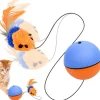 DOWNYPAWS - Balle pour chats jouets interactifs, électrique avec cordon