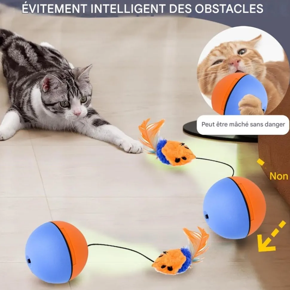 DOWNYPAWS - Balle pour chats jouets interactifs, électrique avec cordon