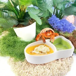 DOWNYPAWS - Bol céramique - forme de carotte, compact et facile à nettoyer