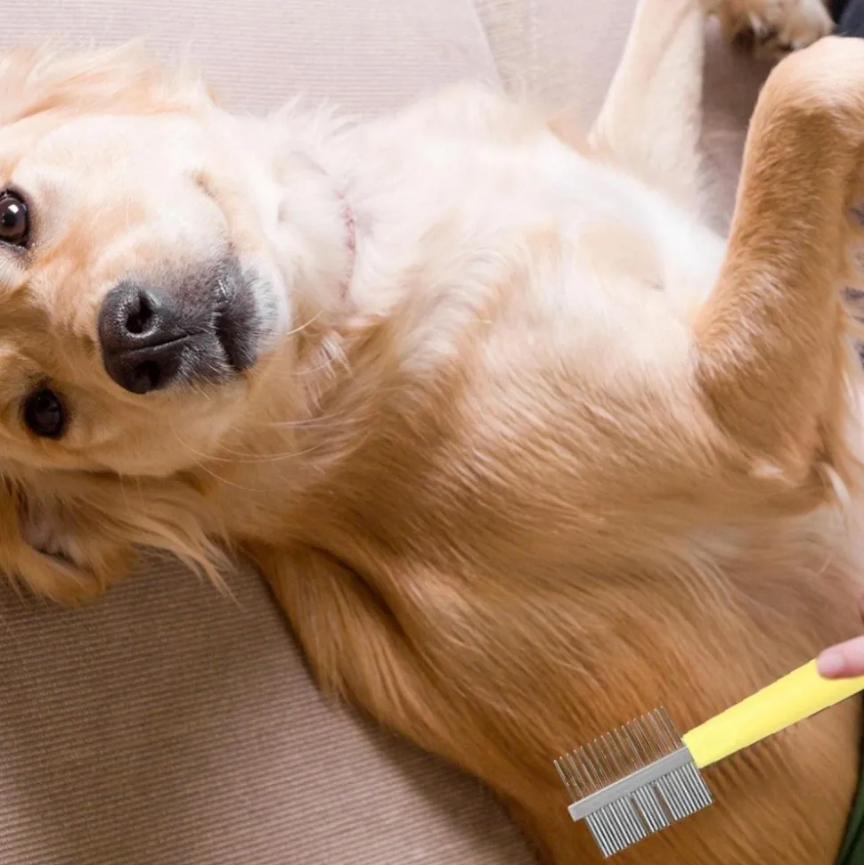 DOWNYPAWS - Brosse de toilettage pour chien et chat ensemble trois pièces- jaune