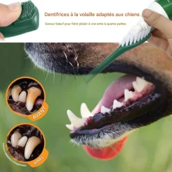 DOWNYPAWS - Brosses à dents dentifrice pour animaux saveur de bœuf-brosse à dents et dentifrice pour chien-hygiène bucco-dentaire-70g
