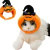 DOWNYPAWS - Chapeau de chat halloween-chapeau citrouille-m (longueur 37cm ​​largeur 9cm hauteur 9cm)