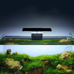 DOWNYPAWS - Éclairage led à pince pour aquarium planté - économe