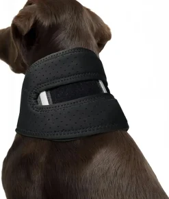 DOWNYPAWS - Collier de soutien post - opératoire respirant et solide avec protection anti - traction pour chien