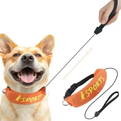 DOWNYPAWS - Collier et laisse intégrés - longueur de corde 100 cm - convient aux chiens de taille moyenne et grande