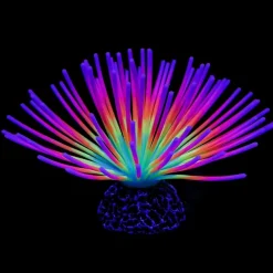 DOWNYPAWS - Décoration d'aquarium-décoration d'aquariu moursin-7 x 12 cm - colorée